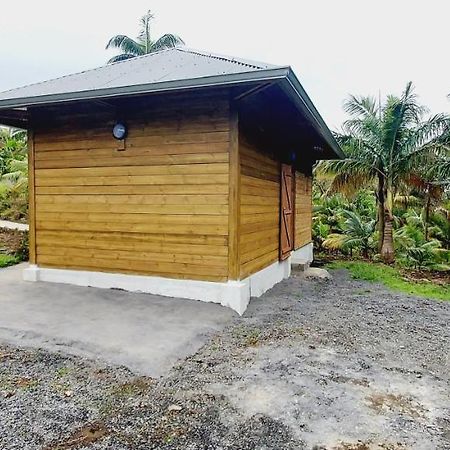 Maison Le Bois Joli Coeur Saint-Benoît Dış mekan fotoğraf